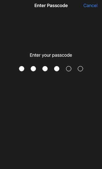 💊Step 5: Your device will ask for the correct passcode.